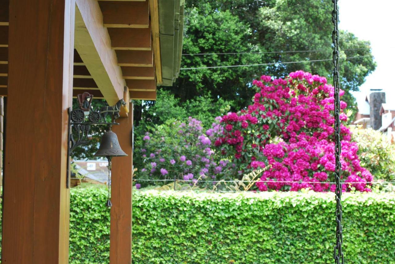 Frontera Pucon Hostel B&B Extérieur photo